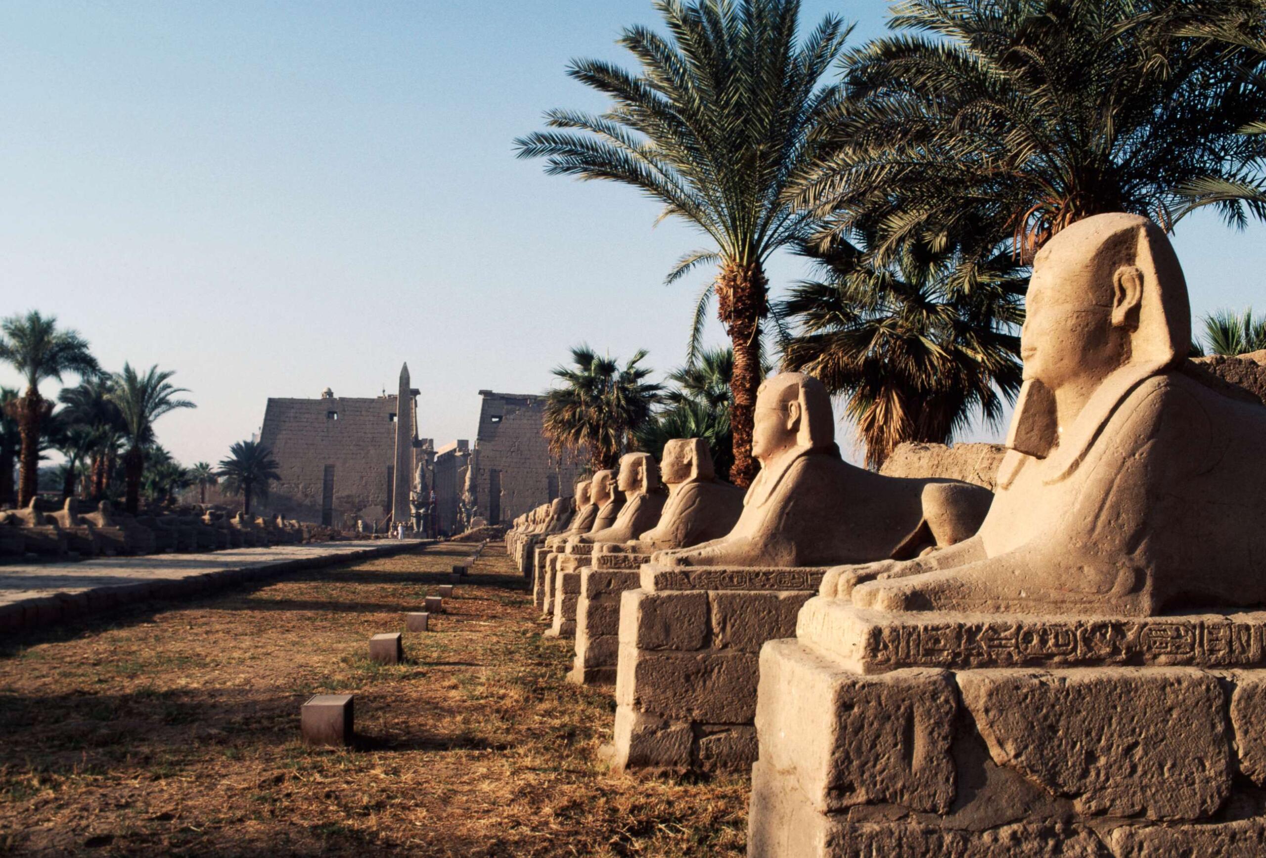 avenue sphinxes gty rc 211123 1637696569650 hpMain scaled