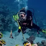 Diving In Hurghada