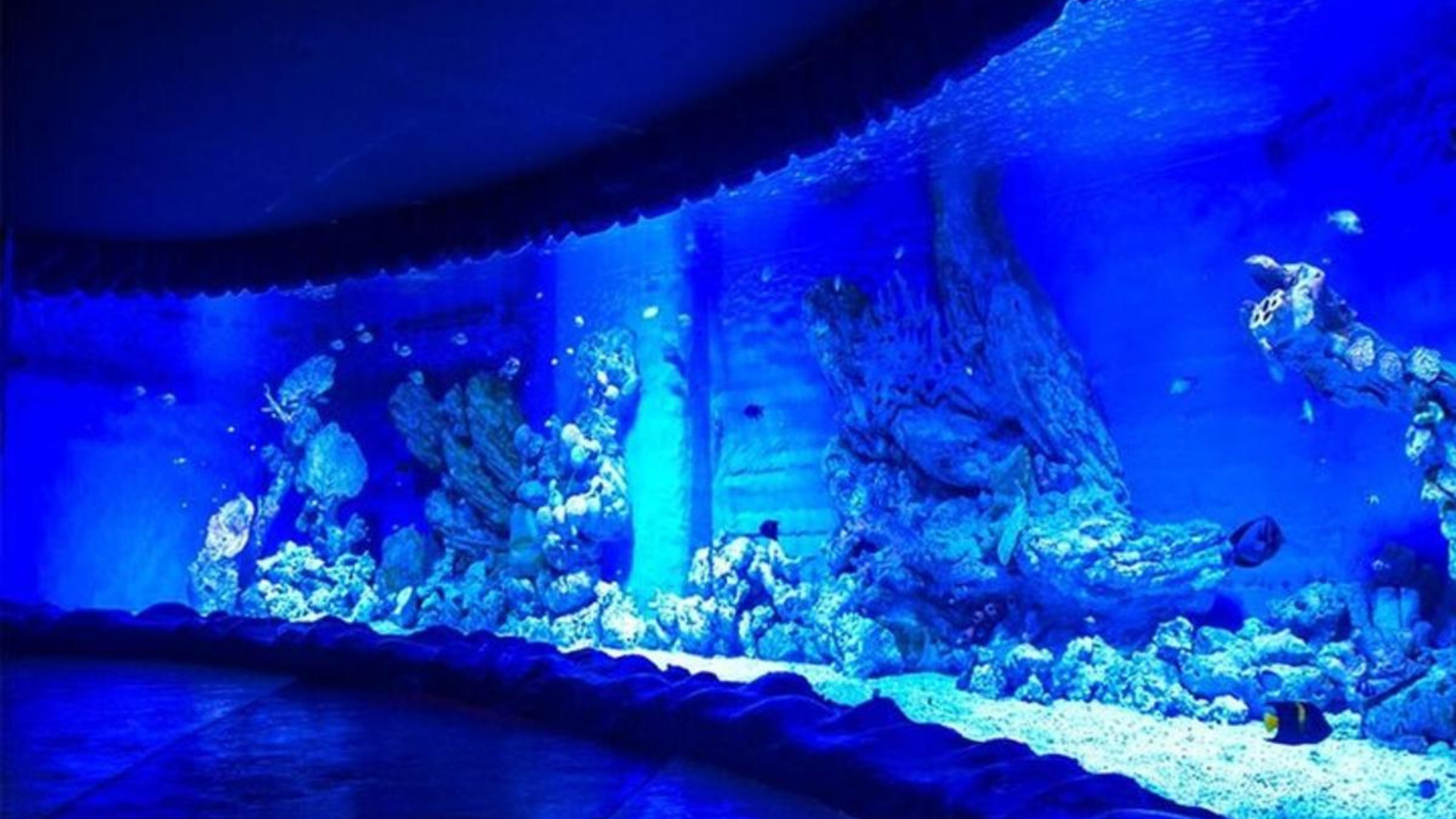 Hurghada Grand Aquarium 2