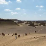 Wadi El Hitan 3