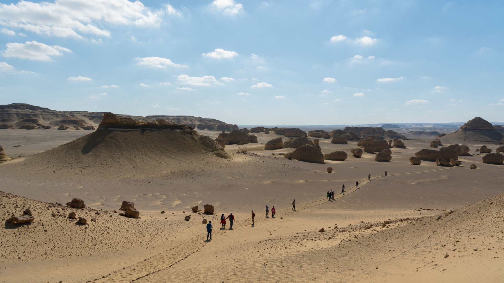 Wadi El Hitan 3