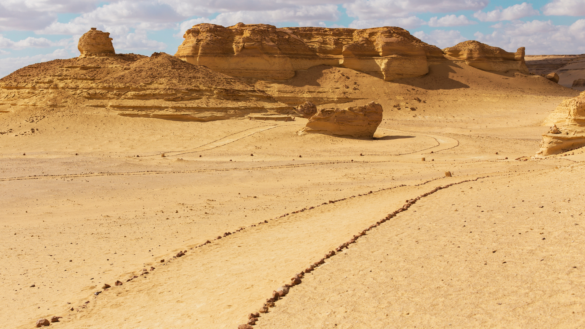 Wadi El Hitan
